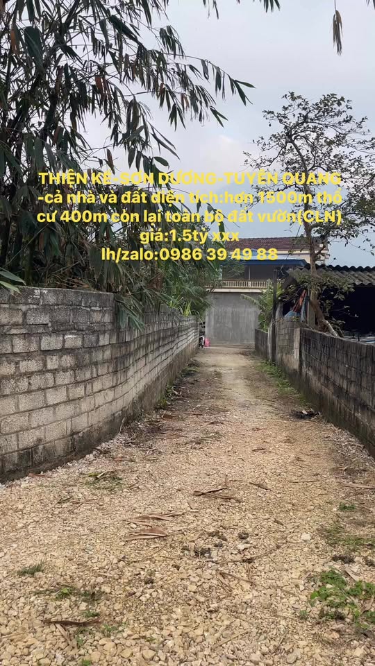 Đất vườn Sơn Dương Tuyên Quang 1500m² giá 1.5 tỷ - Lô góc 2 mặt tiền cực đẹp!