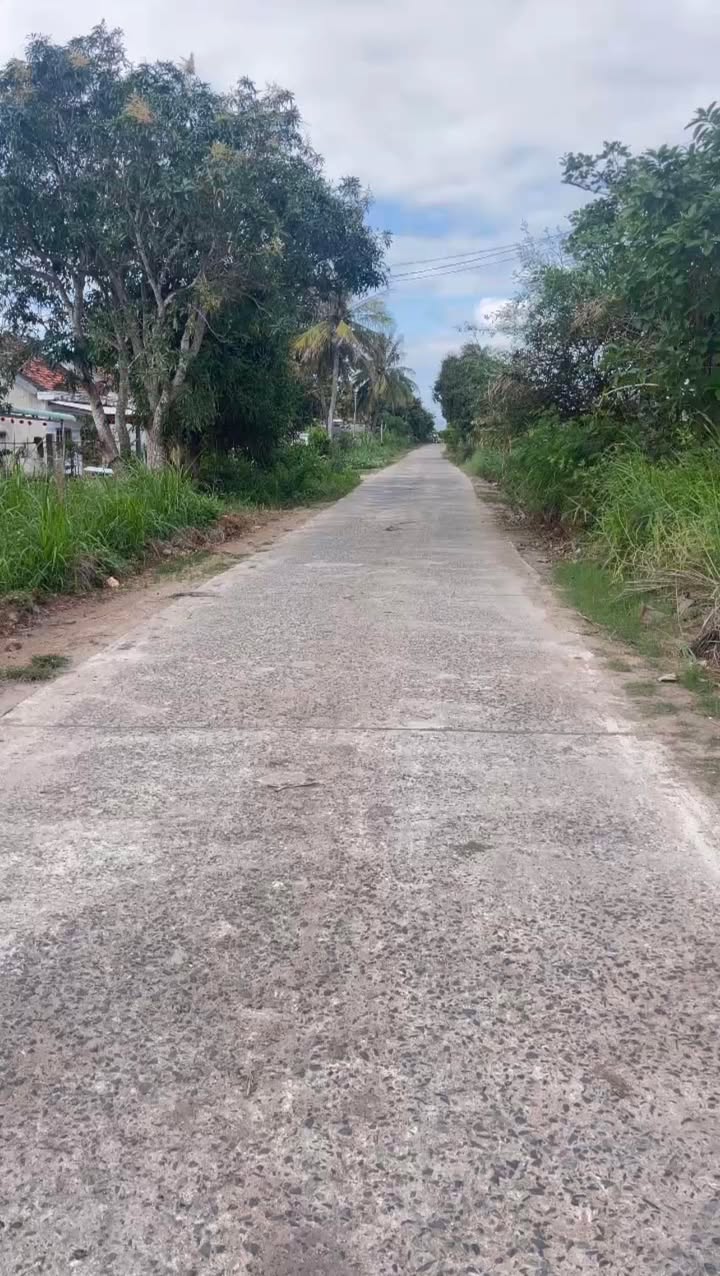 Đất nền Sơn Hòa, Phú Yên 250m² giá 390 triệu - Tiềm năng tăng giá!