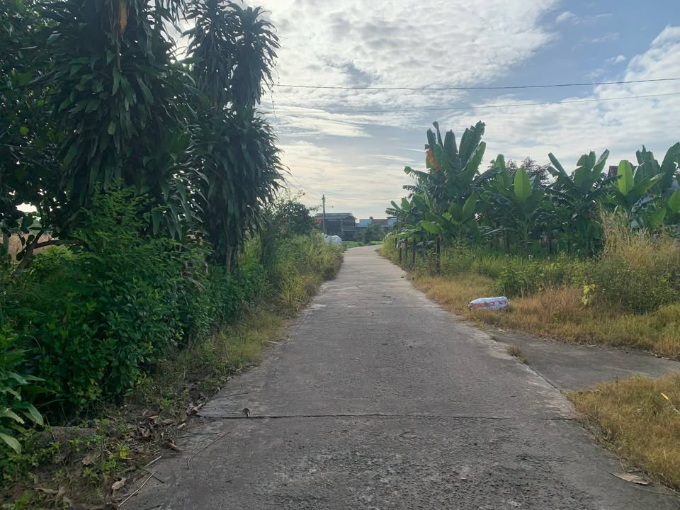 Đất nền Xuân Hiệp Xuân Lộc 200m² giá 650 triệu - Pháp lý rõ ràng