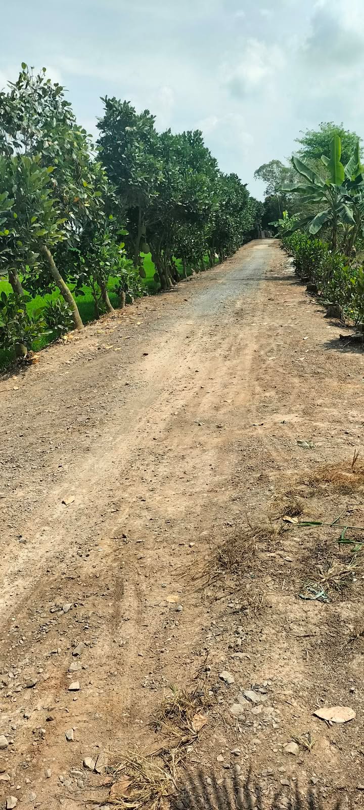 Đất vườn Phú Điền 17.000m² - Mặt tiền 60m, tiềm năng sinh lời cao!