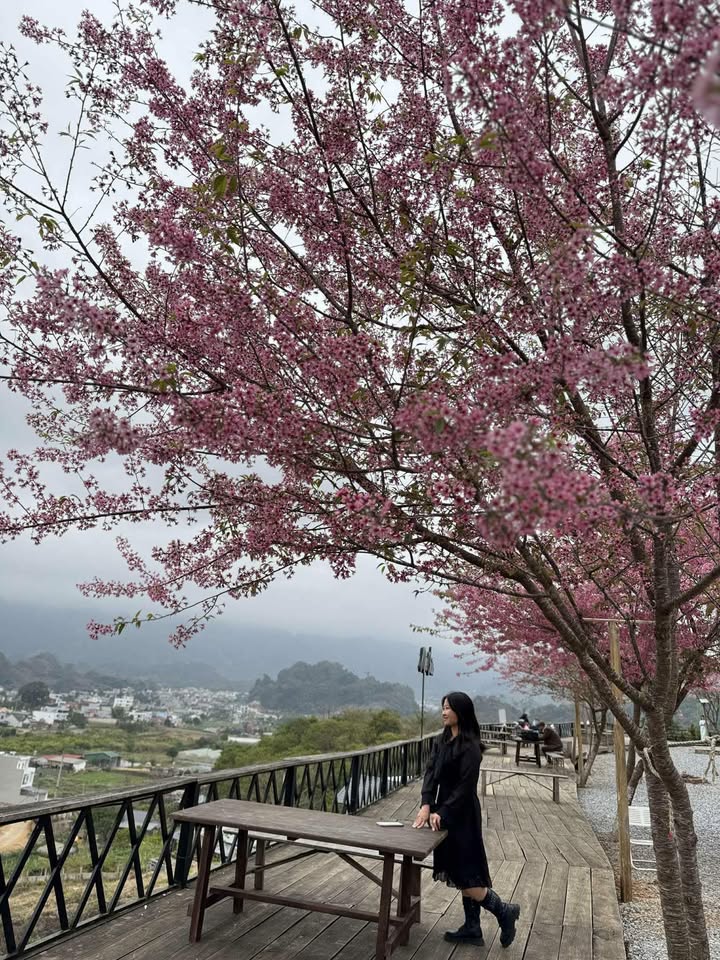 Bán đất 120m² Phường Mộc Lỵ, Mộc Châu - Hai Mặt Tiền, Ô Tô Tránh Nhau