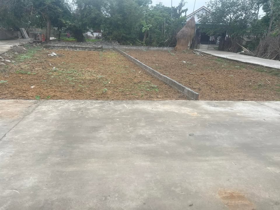 Đất nền Nam Lĩnh Nam Đàn 142m² - Sổ đỏ chính chủ lô góc đẹp!