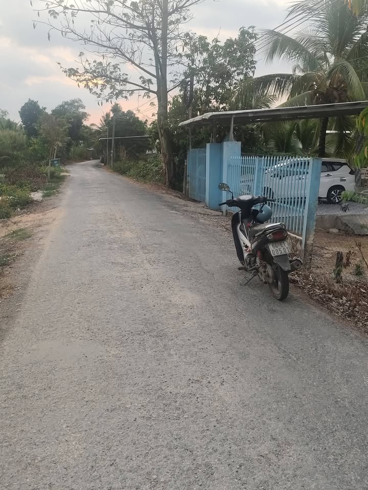 Đất Nền Mặt Tiền Nhựa 310m² - Xã Phú Lộc, Cần Thơ - Giá Đầu Tư 390 Triệu