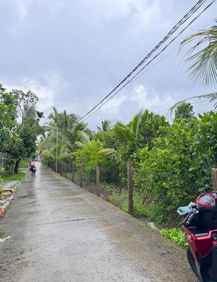 Bán Nền Thổ Cư Châu Thành, Hậu Giang - 390 Triệu/Nền