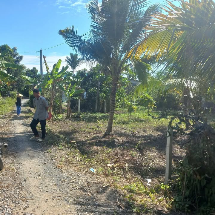 Đất Phong Điền Cần Thơ 300m² giá 850 triệu - Sổ đỏ chính chủ!