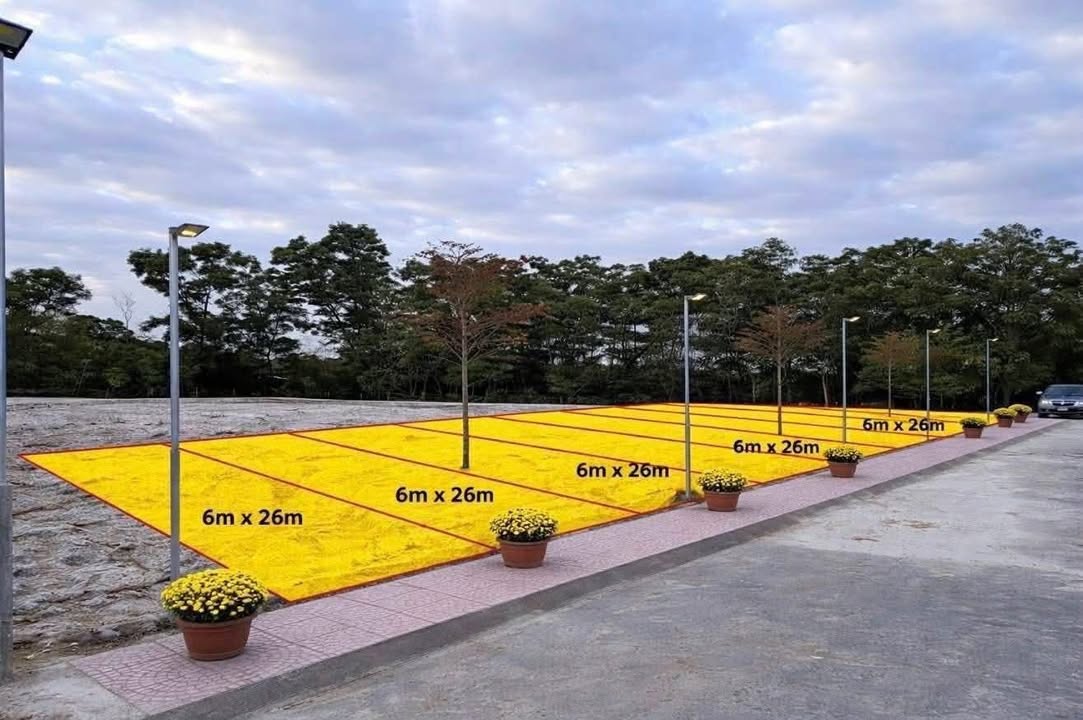 Đất Nền Cửa Việt, Quảng Trị 156m² - Sổ Đỏ Sẵn Sàng