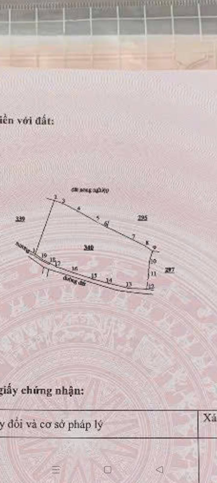 Bán Gấp 4 Sào Đất Lâu Năm, Sổ Riêng Từng Sào, Hàm Thuận Nam