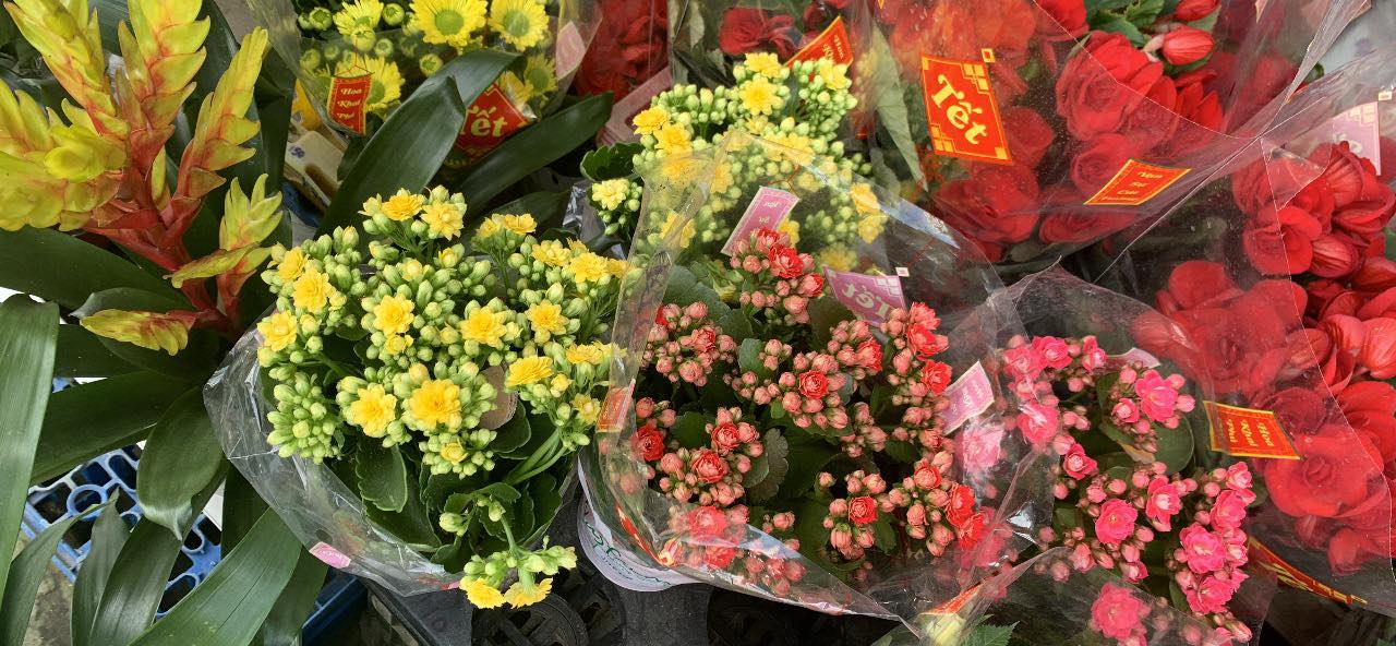 Đất nền Duy Trung 132m² giá 600 triệu - Sổ đỏ chính chủ!