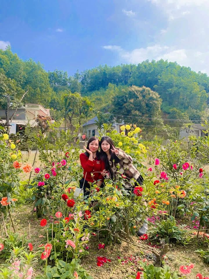 Đất nền KĐT Phú Long, Lào Cai - 85m² thổ cư, sát chợ, giá 1.7 tỷ