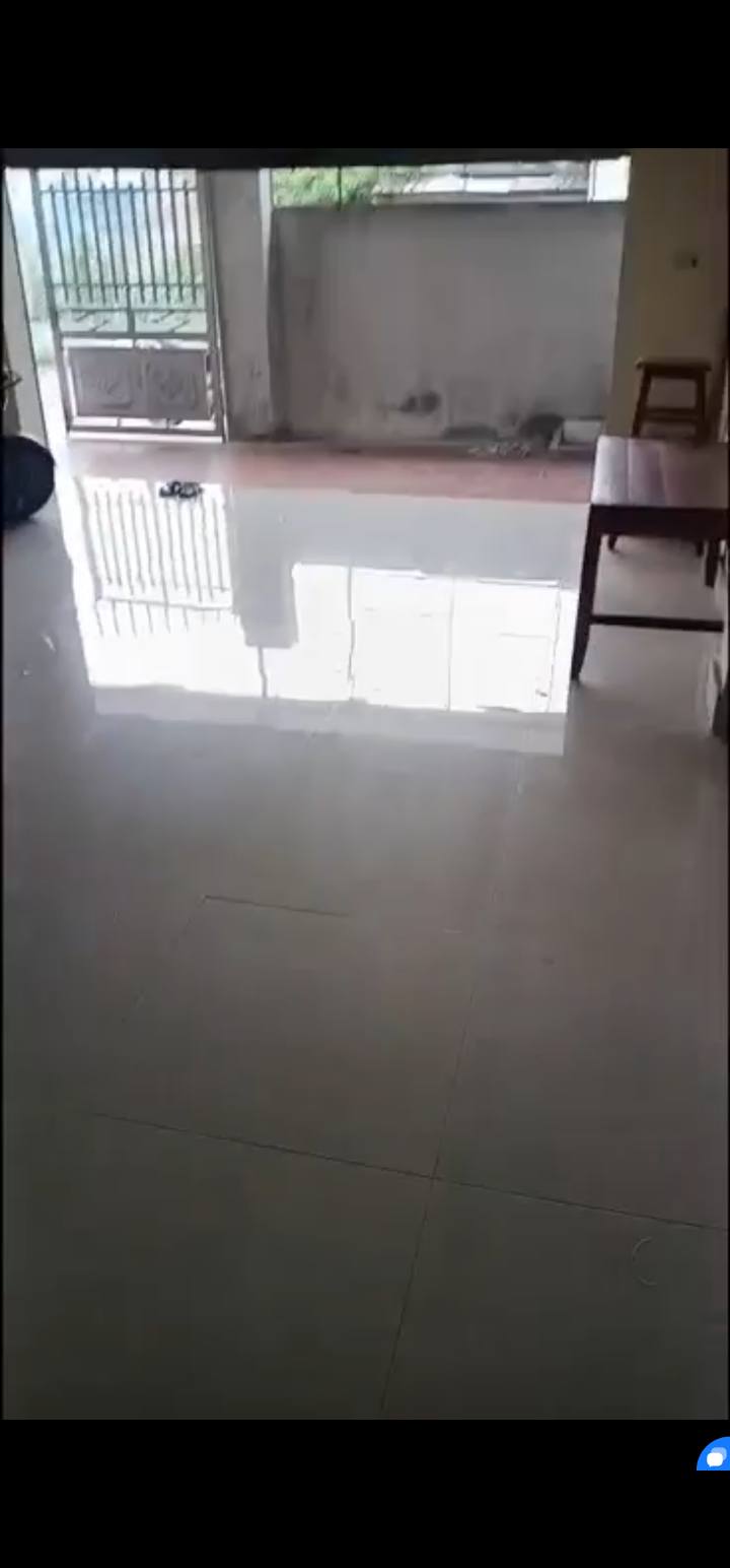 Đất nền 116.5m² Cao An, Cẩm Giàng – Ô tô vào tận nơi, sổ đỏ chính chủ!