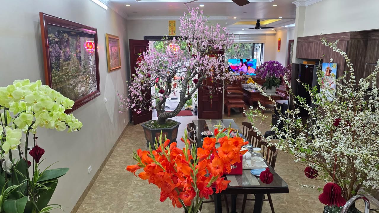 Đất nền Phường Lộc Hạ 60m² giá 3 tỷ - Sổ đỏ chính chủ!