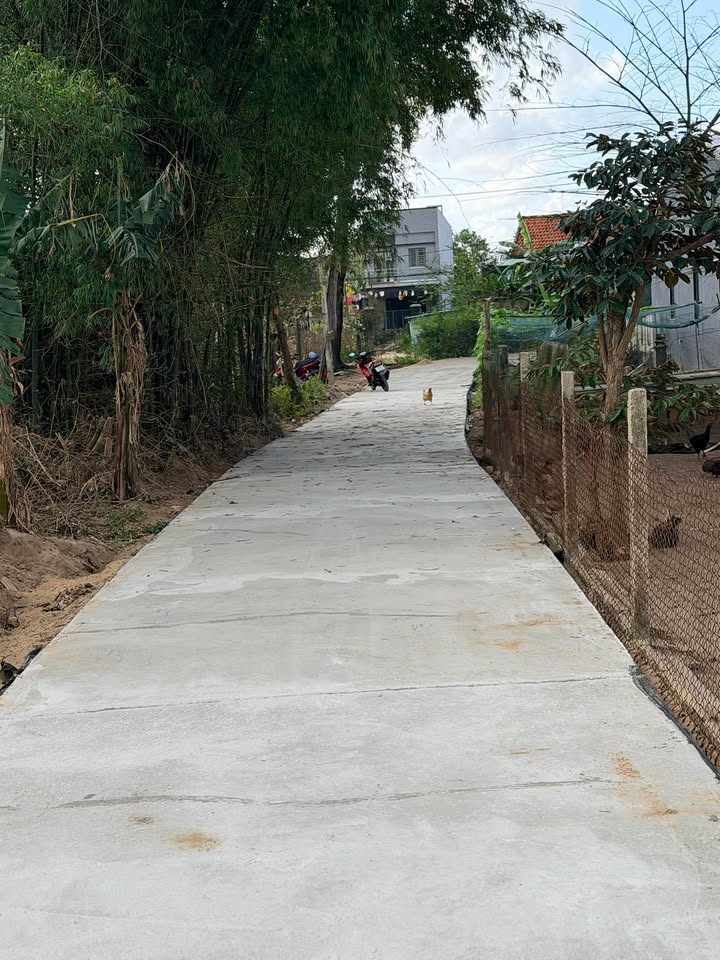 Đất Nền Điện Nam Đông 150m² - Sổ Đỏ Vuông Vắn, Giá Chỉ 1 Tỷ