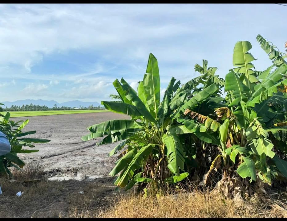 Đất nền Lương An Trà, Tri Tôn 49.000m² – Tiềm năng tăng giá lớn!