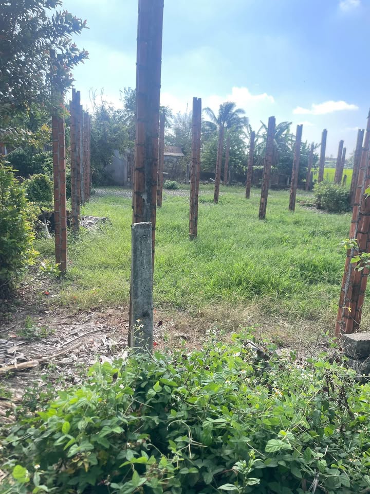 Đất nền Cư Ni Ea Kar 425m² giá 1.7 tỷ - Sổ đỏ chính chủ