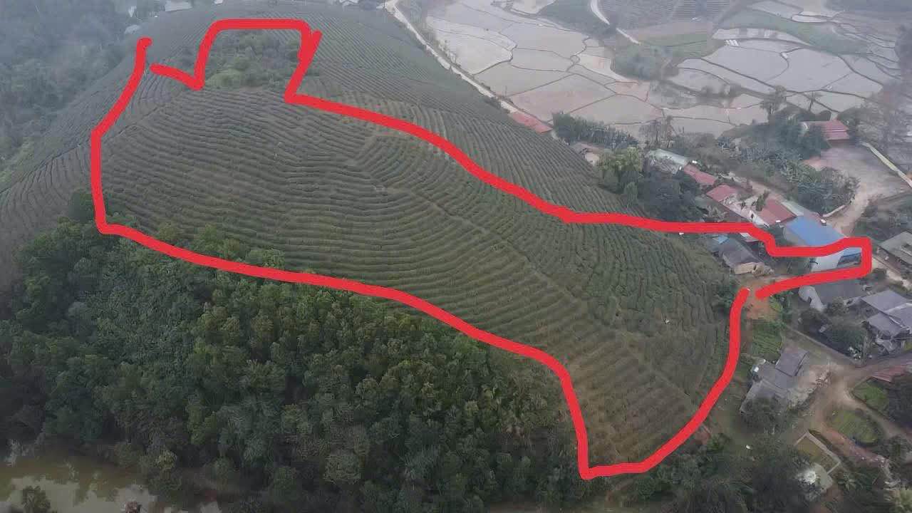 Đất Vườn 8500m² Tân Sơn, Phú Thọ - Sẵn Nhà, Vườn Chè Bao Quanh