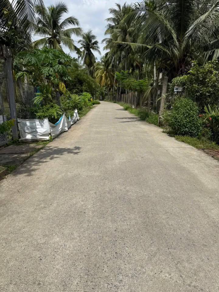 Đất nền Mỏ Cày Bắc 500m² giá 490 triệu - Sổ đỏ chính chủ!