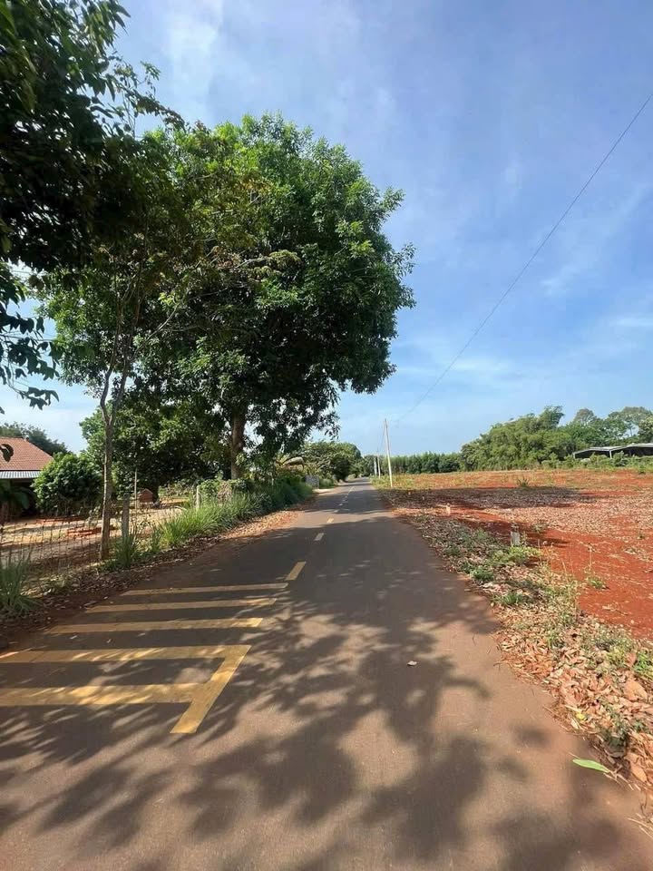 Đất nền Long Tân, Nhơn Trạch 220m² - Sổ đỏ sẵn, kinh doanh tốt