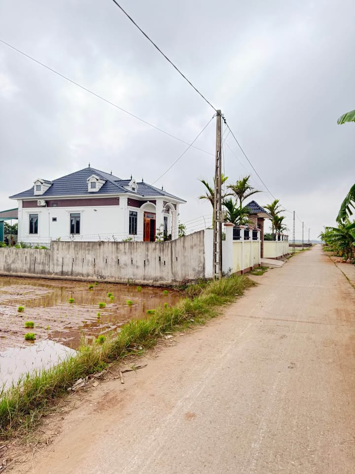 Đất nền Tiền Hải 125m² - Sẵn sàng xây nhà, gần trường học