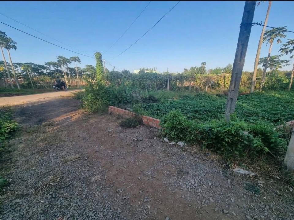 Đất nền Hoà Long, Bà Rịa 129m² - Sổ đỏ chính chủ, tiềm năng sinh lời!