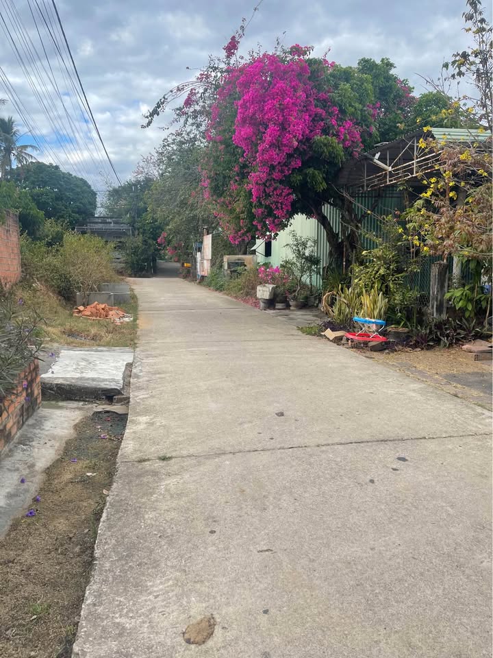 Đất nền Cao Văn Ngọc, Kon Tum 250m² – Đường to ô tô, tiềm năng sinh lời!