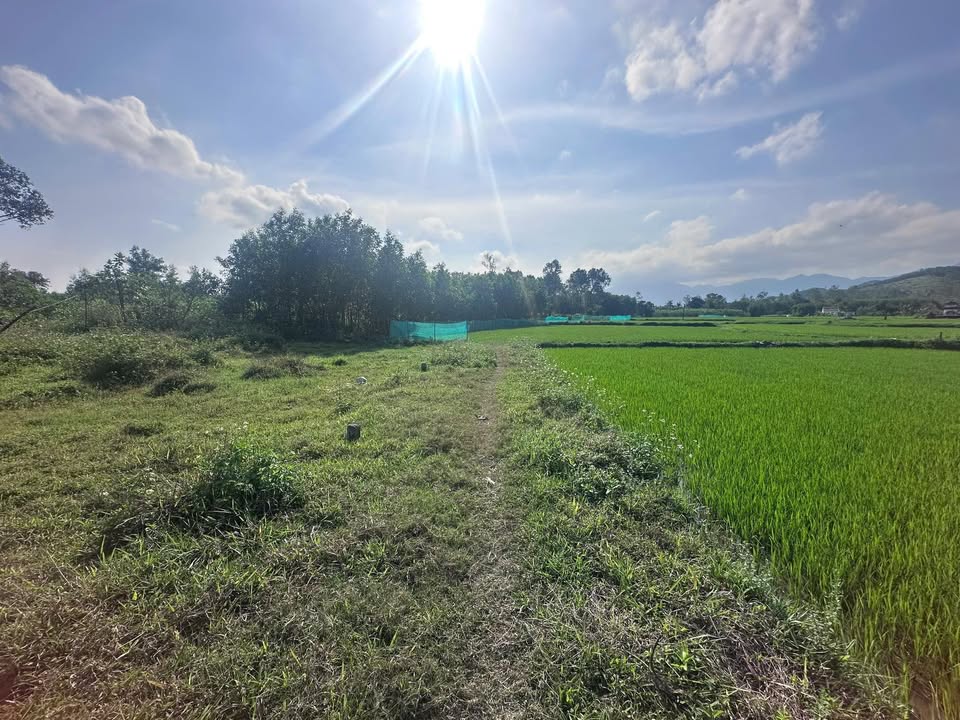 Đất Nền Quế Sơn 160m² - View Đồng Ruộng Thanh Bình, Giá Chỉ 200 Triệu