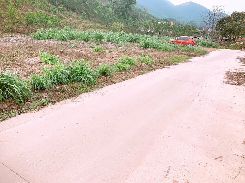 Bắc Giang: Đất nền 210m² mặt tiền 7m, gần KCN Bắc Lũng - Sổ đỏ thổ cư