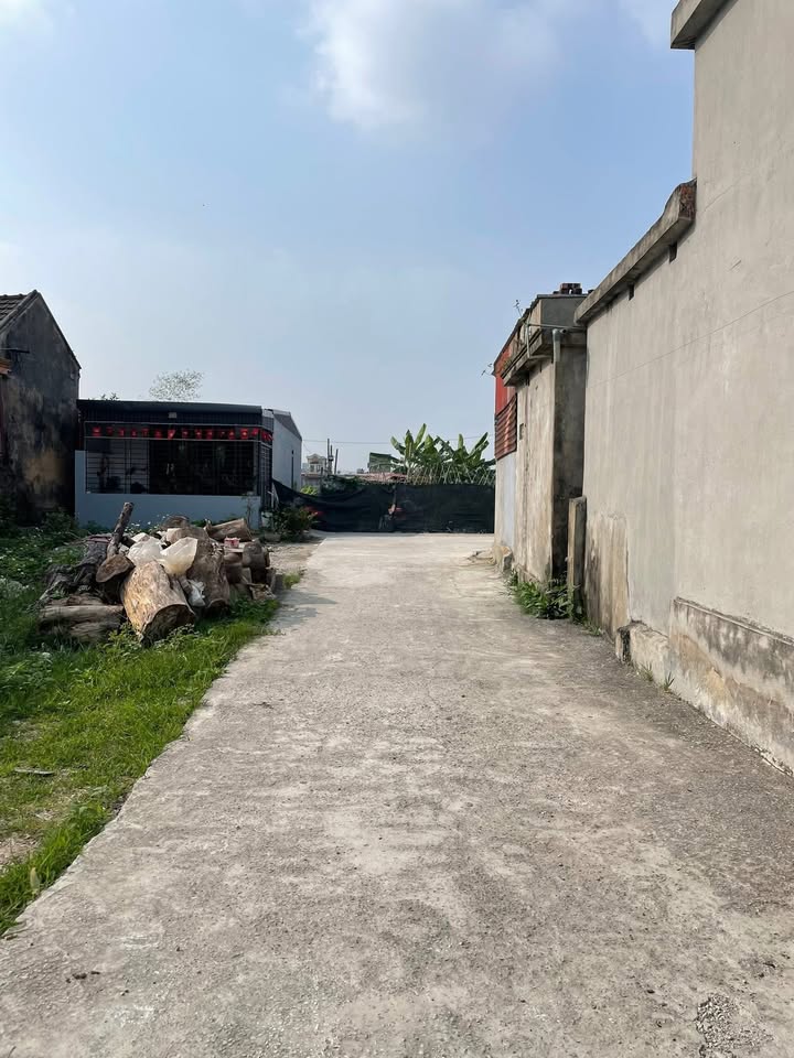 Đất nền Cẩm Hoàn, Kiến Thụy 60.9m² - Ngõ ô tô, giá chỉ 7xx triệu