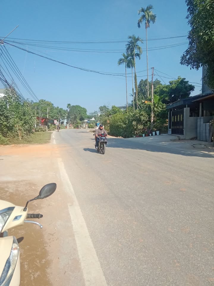 Đất Vườn Yên Bái 105m² Mặt Đường Tuy Lộc - Giá Tốt Đầu Năm