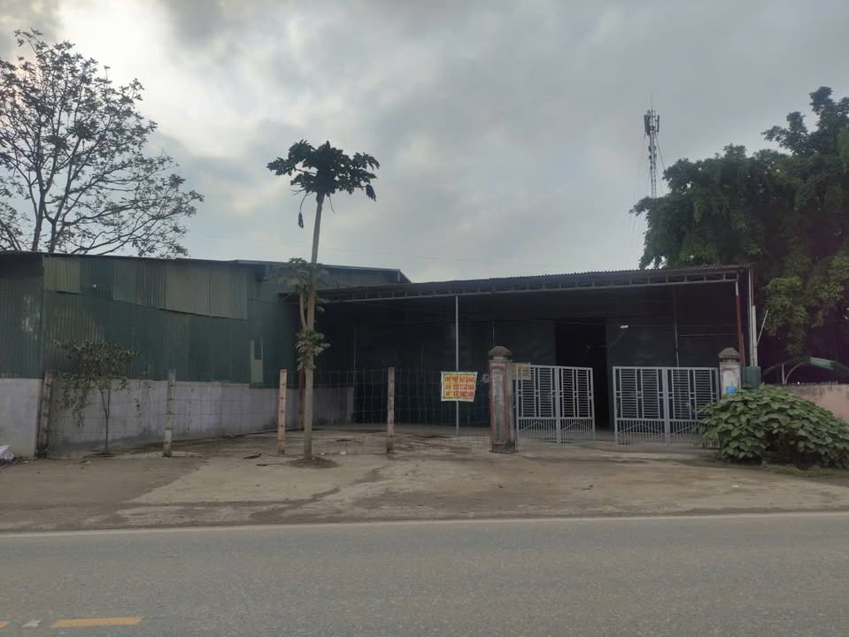 Kho xưởng Ngọc Lặc 1000m² - Container thoải mái, điện 3 pha!