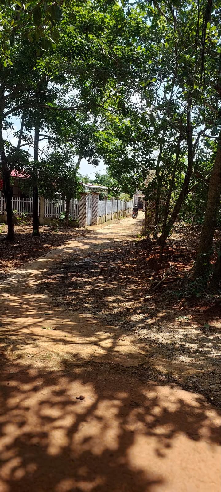 Đất nền Lộc Ninh 360m² - Sổ hồng chính chủ, đường nhựa dân cư đông!