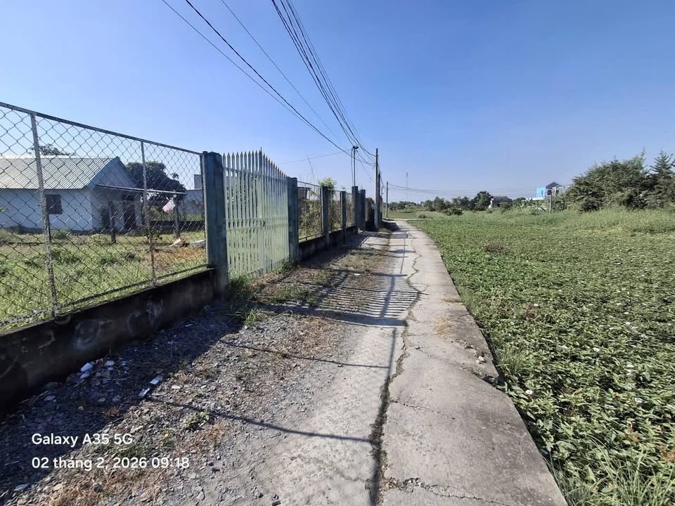 Nhà vườn Mỹ Lộc, Cần Giuộc 495m² - Nghỉ dưỡng lý tưởng!