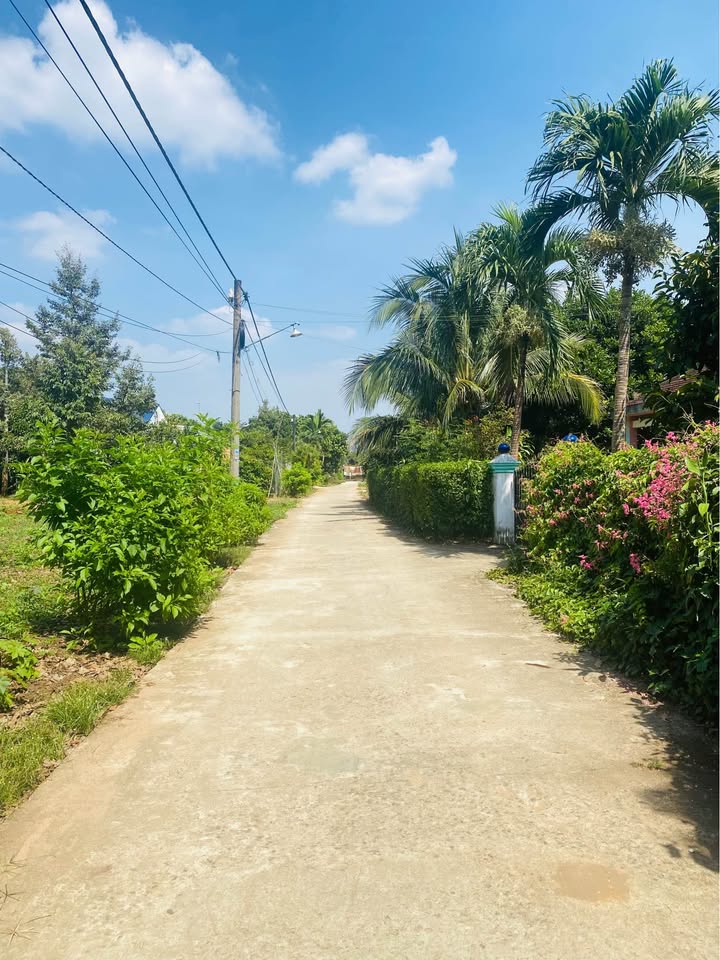 Đất nền Long Thành 230m² giá 1.68 tỷ - Full thổ cư gần Sân bay!