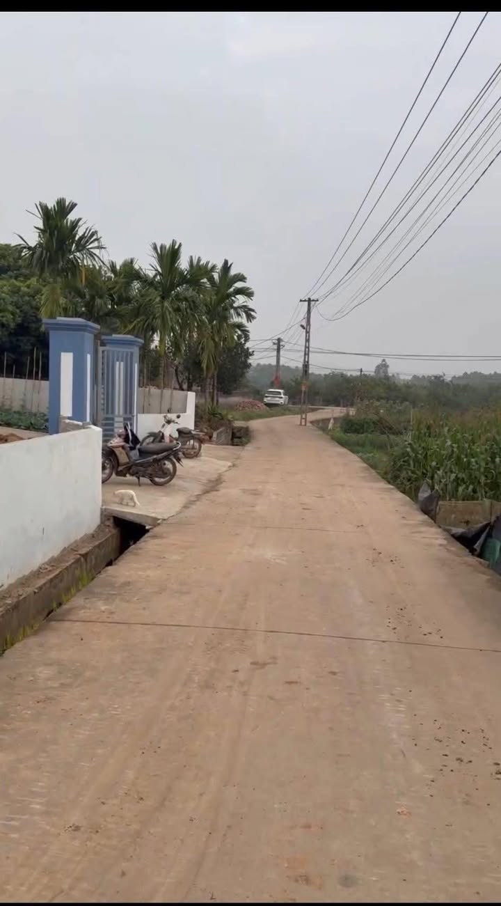 Đất nền Quang Thịnh, Lạng Giang 199m² giá 600 triệu - Tiềm năng tăng giá