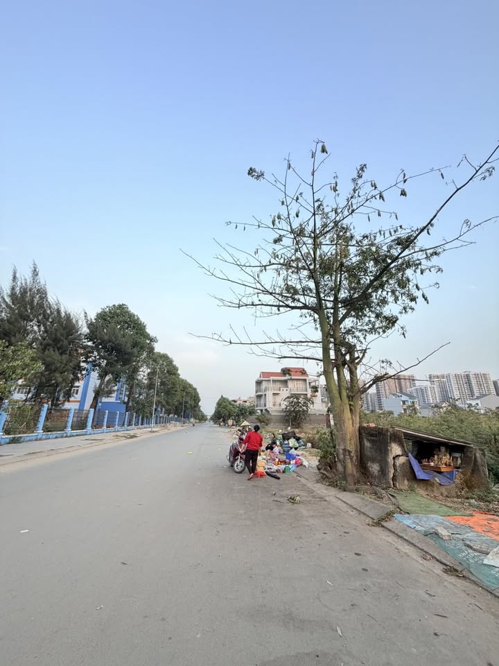 Đất Nền 77m² Long Thạnh Mỹ, Thủ Đức - Sổ Đỏ Sẵn Sàng