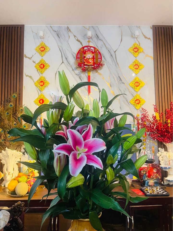 Bán nhà Thủy Xuân 120m² giá 1.7 tỷ - Vị trí đẹp, sẵn sàng ở ngay!