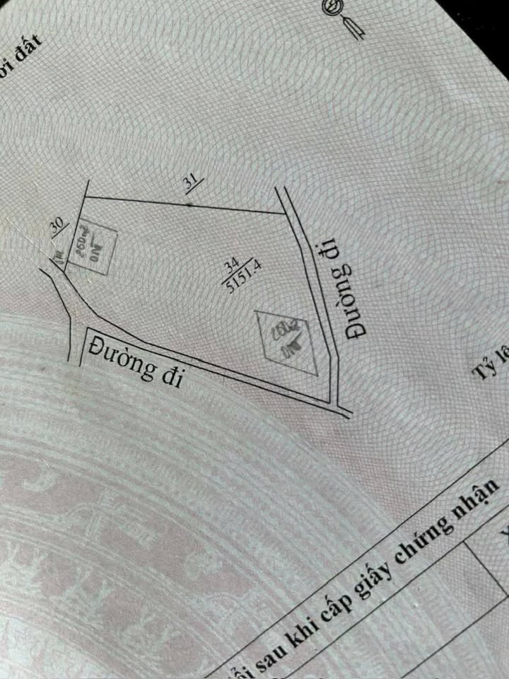 Đất Vườn Lộc Ngãi Bảo Lâm 5151m² - 3 Mặt Tiền, Sổ Sạch, Đầu Tư Sinh Lời