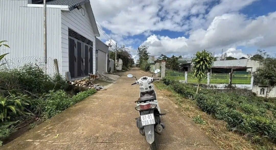 Đất nền Lê Phụng Hiểu, Bảo Lộc 342m² - Tiềm năng tăng giá!