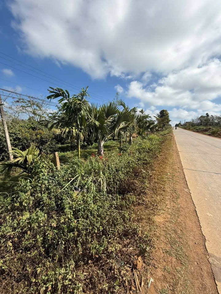 Đất nền Cư M'gar Đắk Lắk 1364m² 3.3 tỷ - Sổ đỏ chính chủ sẵn sàng