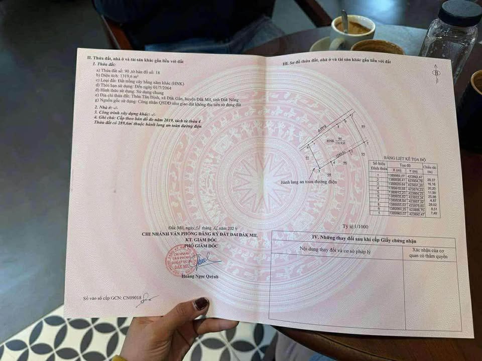 Đất nền Đắk Gằn 1200m² giá 290 triệu - Tiềm năng tăng giá vượt trội!