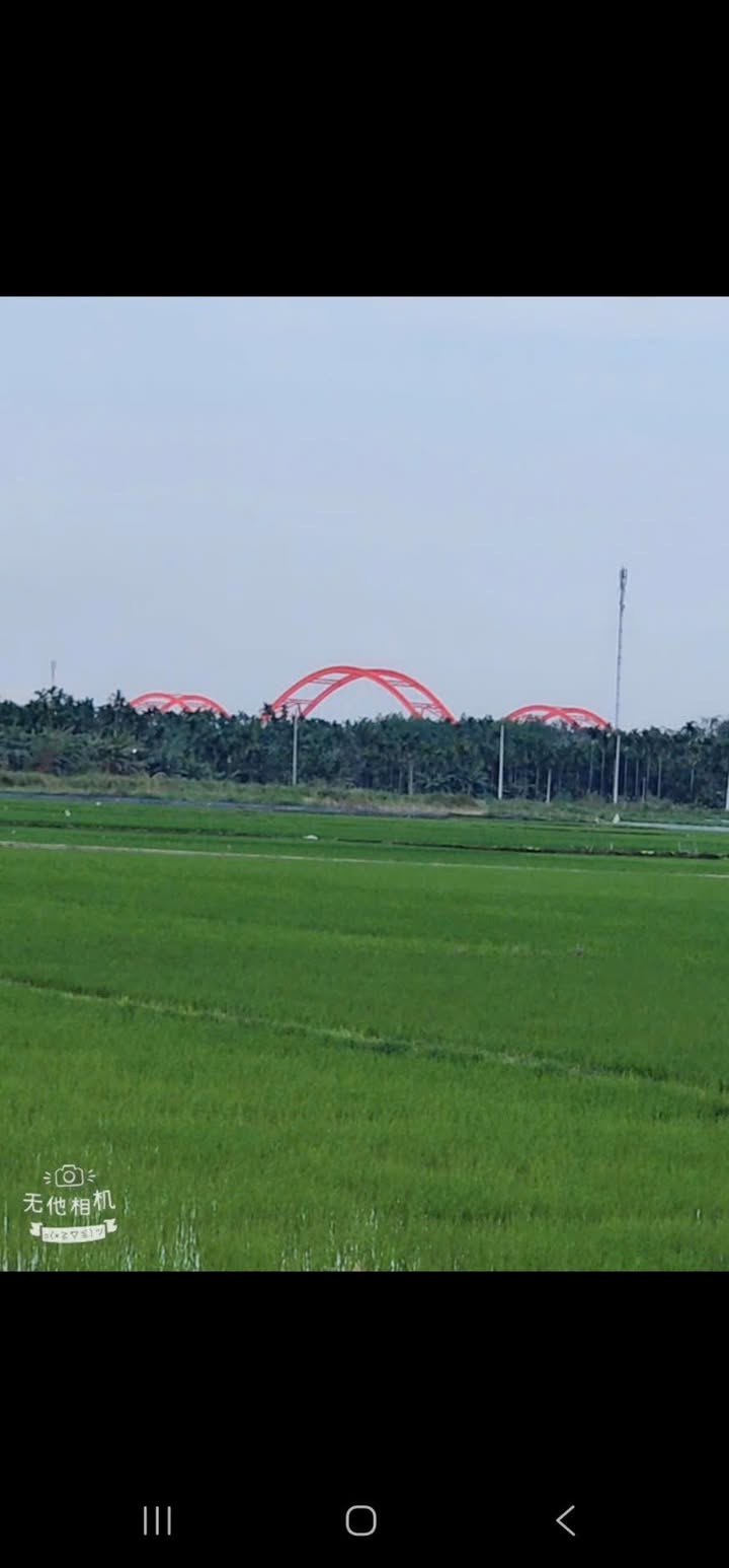 Đất nền Nghĩa Thuận Tư Nghĩa 115m² giá 350 triệu - Sổ đỏ chính chủ