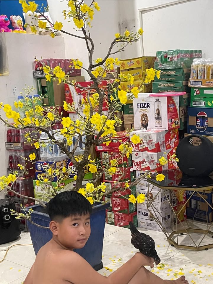 Đất nền Thuận Lợi Bình Phước 300m² - Đất thổ cư 100%