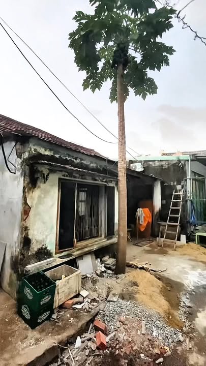 Đất nền Sơn Trà Đà Nẵng 90m² - Tiềm năng tăng giá vượt trội!