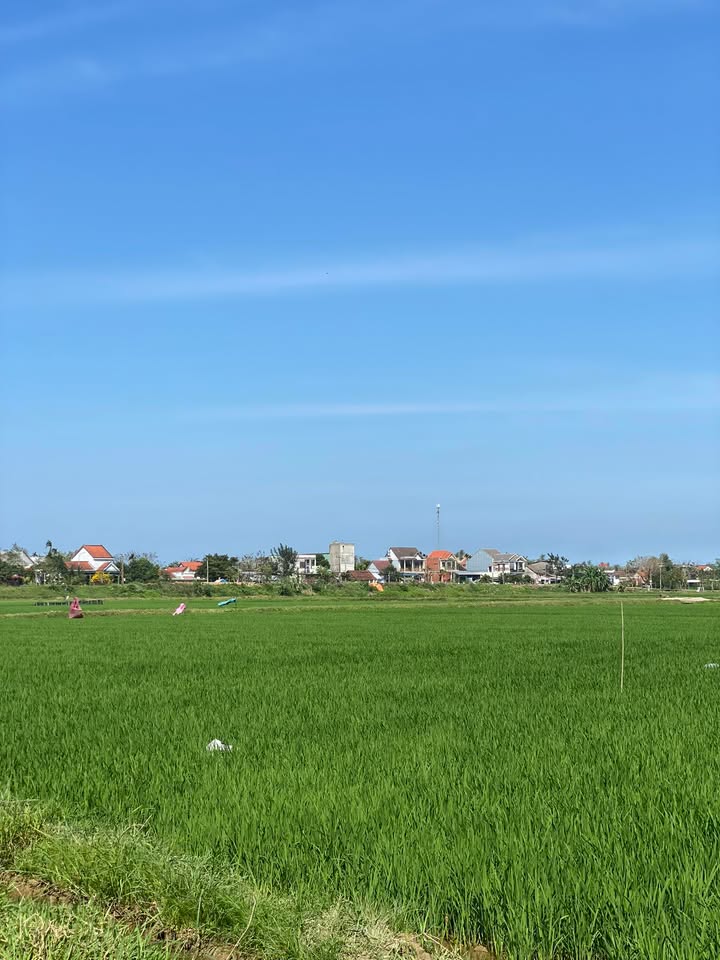 Đất nền Duy Phước 129m² - Sổ đỏ chính chủ, view cánh đồng!