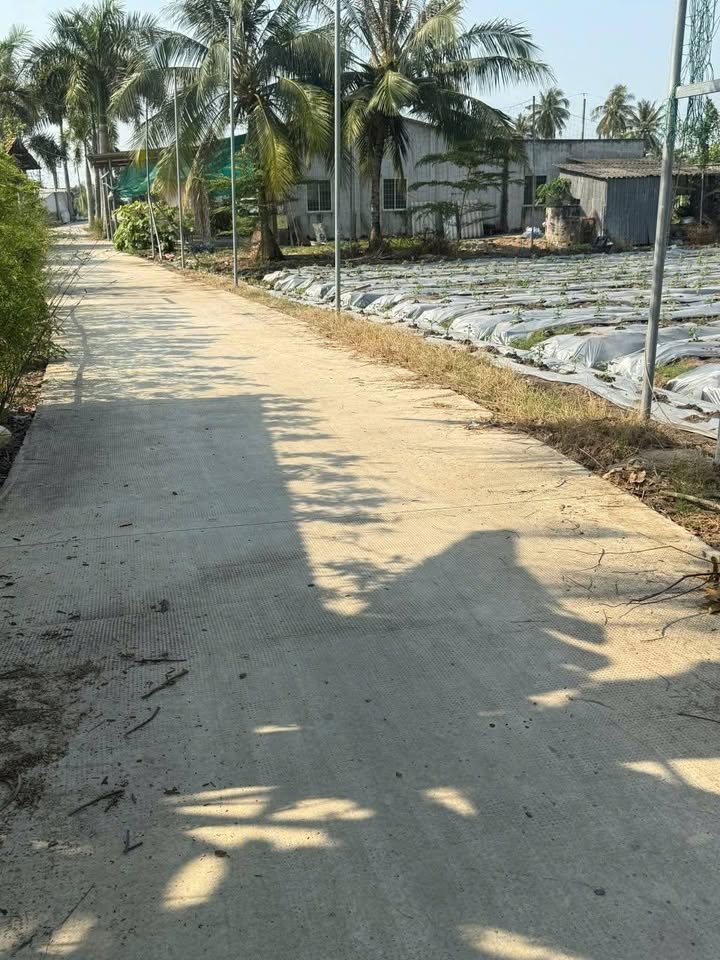 Đất nền Tân Trụ 140m² giá 520 triệu - Sổ đỏ chính chủ đầu tư F0