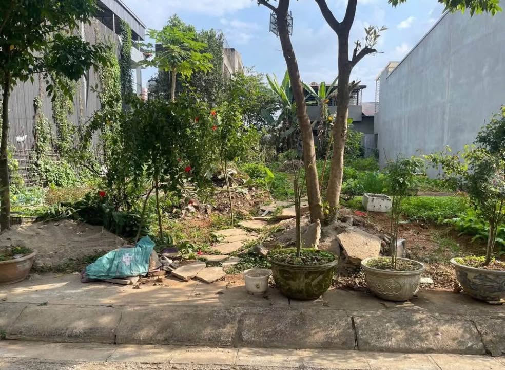 Bán đất Xuân Tăng, Lào Cai 100m² - Sổ đỏ sẵn, xây tự do