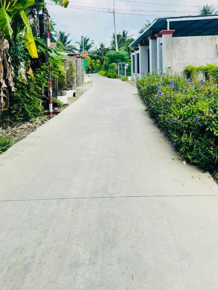 Đất Nền Long Hòa, Châu Thành - 81m² Thổ Cư, Cách Aeon 1km