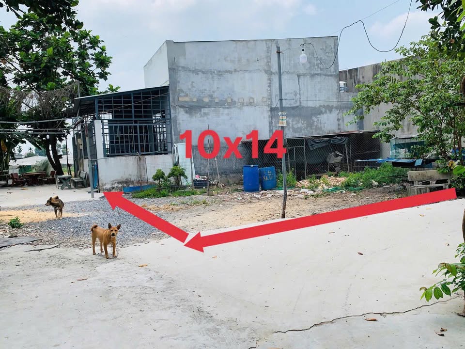 Đất Nền Tân Phú Trung Củ Chi - Lô Góc 134m² Sổ Hồng Riêng - Giá 1.85 Tỷ