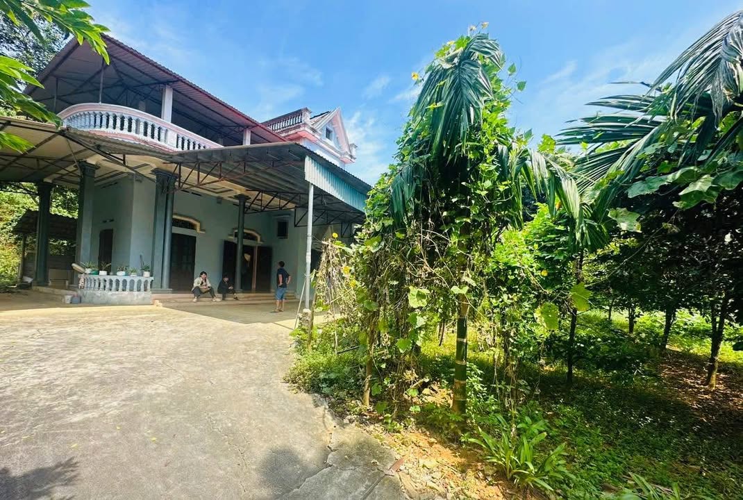 Đất Vườn Phú Thọ 1600m² - Sổ Đỏ Sẵn Sàng, Giá Tốt