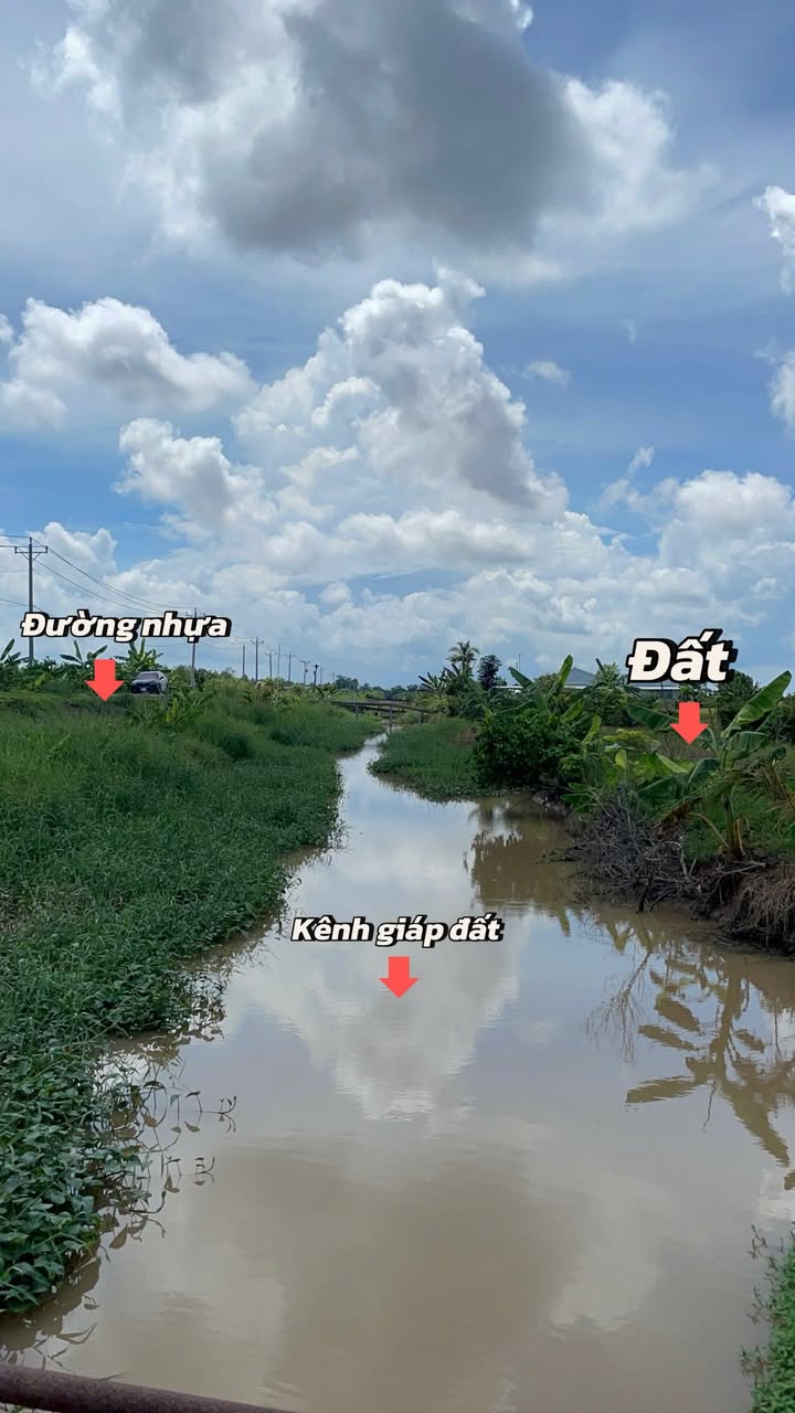 Đất Mặt Tiền Nhựa Tân Phú Đông, Tiền Giang - 195m² Giá Chỉ 2.8 Tỷ