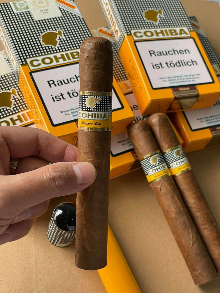 Đất nền KĐT Bắc Quang Châu 200m² - Vị trí kinh doanh đắc địa, sổ đỏ sẵn sàng